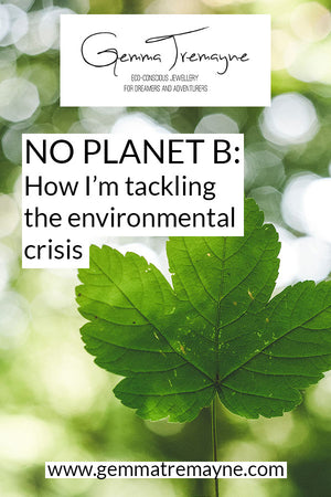 No planet B: How I'm tackling the environmental crisis